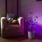 3ft. Pre-Lit Artificial Halloween Black Spooky Twig Tree with Bats and 100 Orange & Purple LED Lights